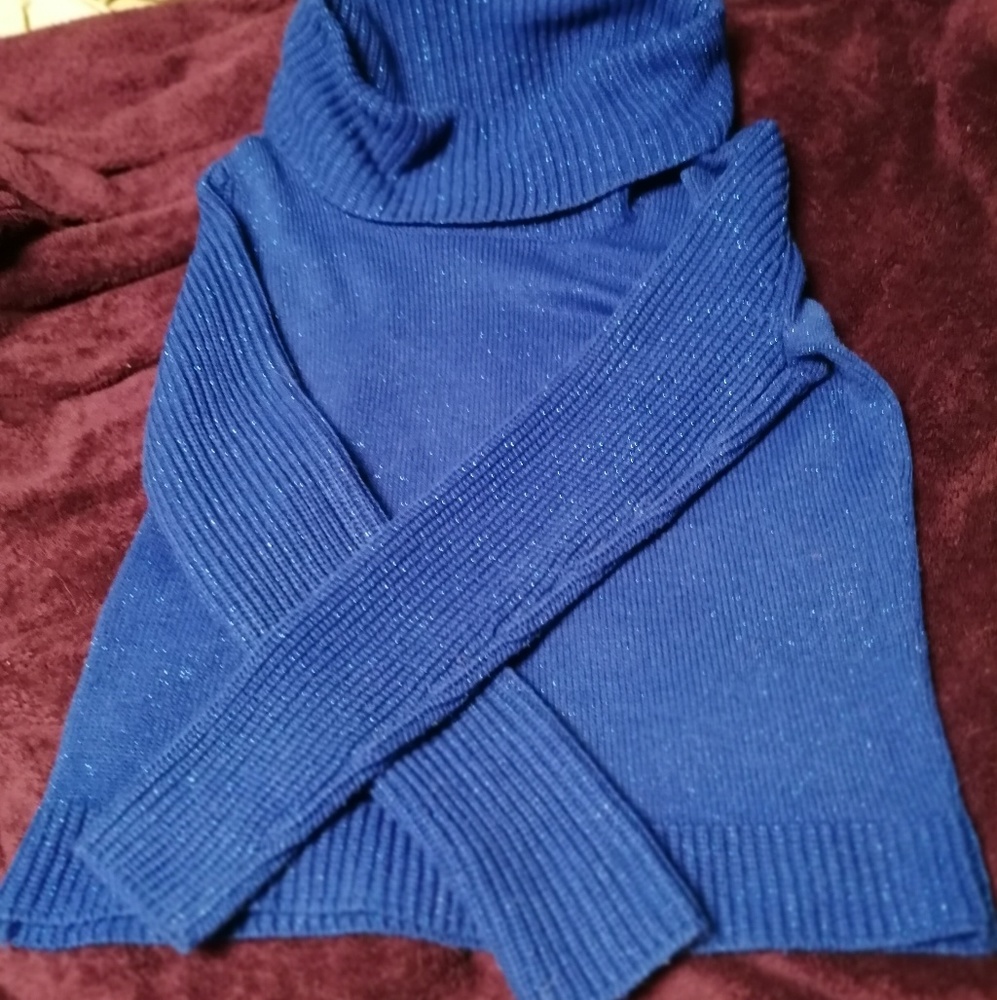 Royal Blue Sparkly Sweater XL